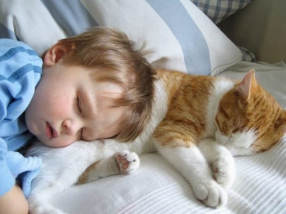 10 Heartwarming Photos That Show Why Cats Are The Best Companions For Kids