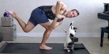 Cats And Yoga? Yes, Please!