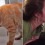 15 Cats Who Bring ‘Cattitude’ To A Whole New Level!