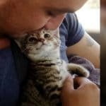 This Viral Video Of A Kitty Finding A New Home Has Brought Smiles On The Faces Of Millions!