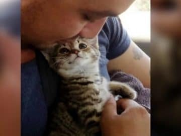 This Viral Video Of A Kitty Finding A New Home Has Brought Smiles On The Faces Of Millions!