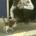 Stray Mama Cat Brings Her Family to Police Station That Becomes Their Home