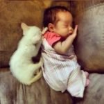 Parents Document Their Daughter Sleeping With Her Cat Everyday Since She Was a Baby