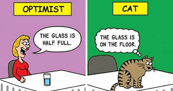 10 Best Cat Cartoon of All Time