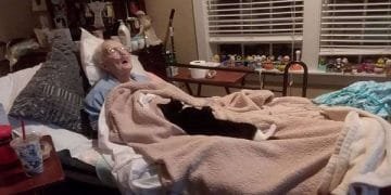 Loyal Cat Refuses To Leave Bedside Of Dying Woman Who Raised Her