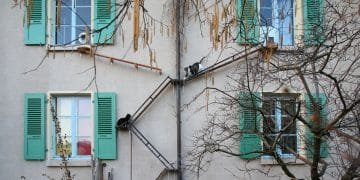 Upcoming Book Explores the Wide Range of Charming Homemade Cat Ladders in Switzerland