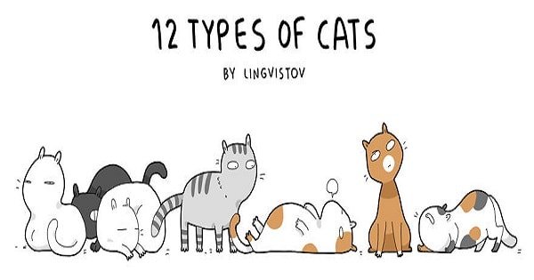 12 Types Of Cats By Lingvistov