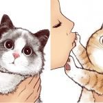 9 No Kisses Cat Illustrations That Every Cat Person Should See!