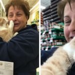 Cat Can't Stop Licking And Hugging His New Mom!