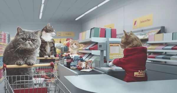 German Advert Features Cats Pushing Trolleys Around a Supermarket!