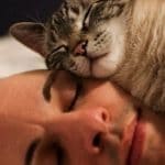 10+ Absolutely Adorable Photos Of Pets Sleeping In Bed With Their Humans!