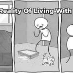 12 Funny Comics That Reveal The Reality Of Living With Cats