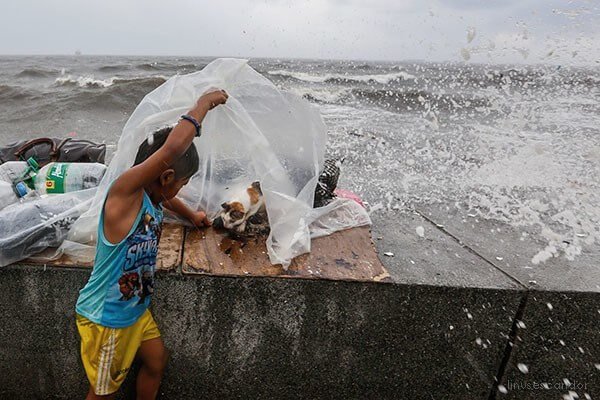 Boy in Philippines Finds A Cat Giving Birth During Typhoon! 2