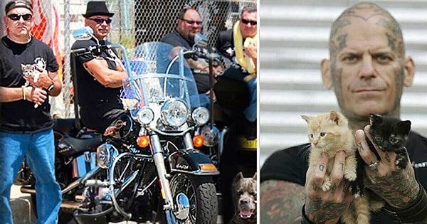 Biker Gang Confronts Violent Pet Owners To Rescue Desperate Animals From Them