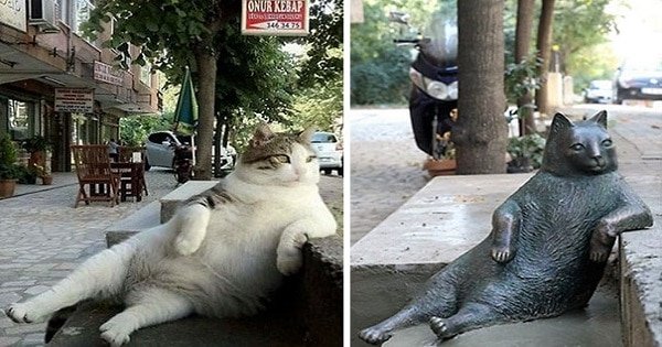 Famous Cat Honored With His Very Own Statue At His Favorite Spot