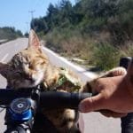 Man Cycling Around World Finds A Poor Stray Kitten And Brings Her On His Journey!
