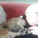 Man Recovering From Surgery Wakes Up To Cat Snuggling With Him - He Doesn't Have A Cat