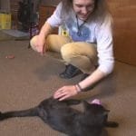 Man Shocked After He Buries The Wrong Cat