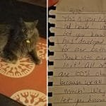 Woman Finds a Strange Note in Her Cat’s Collar