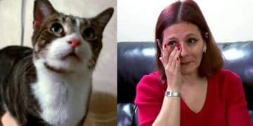 Adopted Cat Becomes Family’s Hero And Changes Their Lives Forever