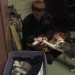 Cat Nurses Abandoned Pit Bull Puppy