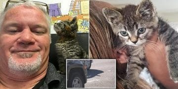 Man Saves Kitten with Feet GLUED to the Road!