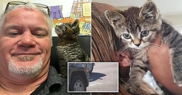 Man Saves Kitten with Feet GLUED to the Road!