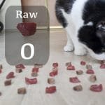 What Do Cats Love More - Raw or Boiled Meat?