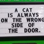 The Funniest Cat Jokes Vet Clinics Put Up On Their Signs