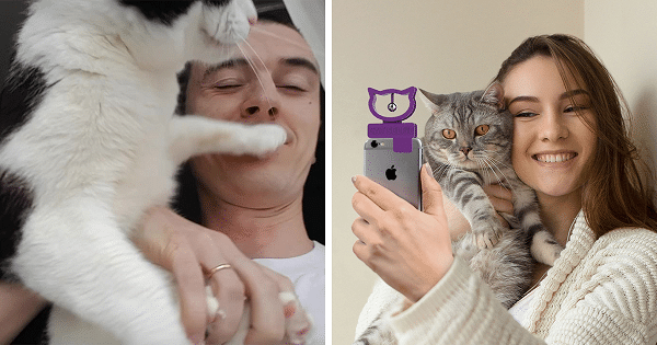 Cat Selfie Device That Will Make Your Photos With Your Cat Simply Purrfect