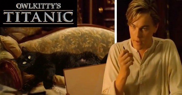 This Guy Improves Hollywood Movies By Editing His Cat Into Them And The Result Is Hilarious