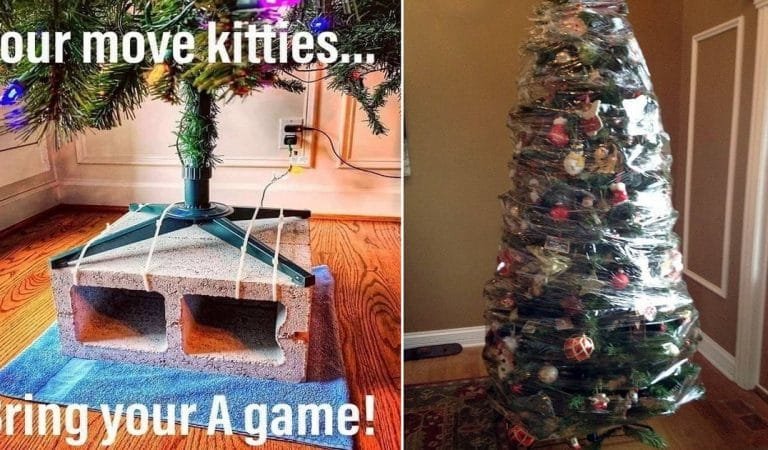 How People Are Hilariously Avoiding The Christmas Tree Chaos!
