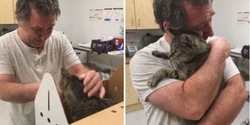 Man Emotionally Reunites With His Lost 19-Year-Old Cat After 7 Years Apart