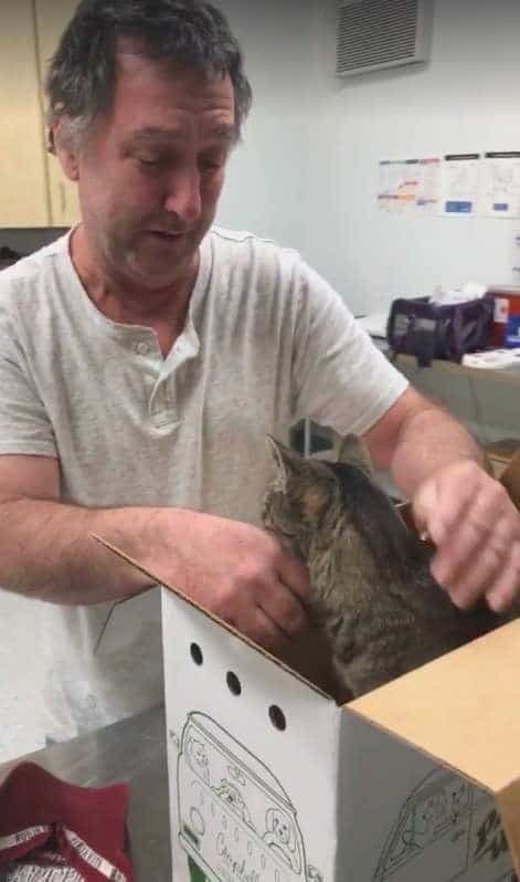 Man's Emotional reunion With His Lost 19-Year-Old Cat After 7 Long Years Apart! 2