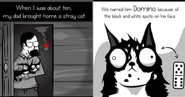 The Legend Of Domino The Cat, Created By The Comic - The Oatmeal