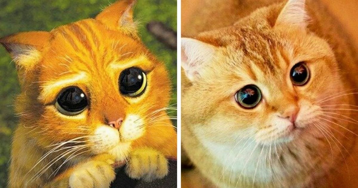 10+ Animals Who Look Like They Came Right Out Of Your Favorite Animated Movies