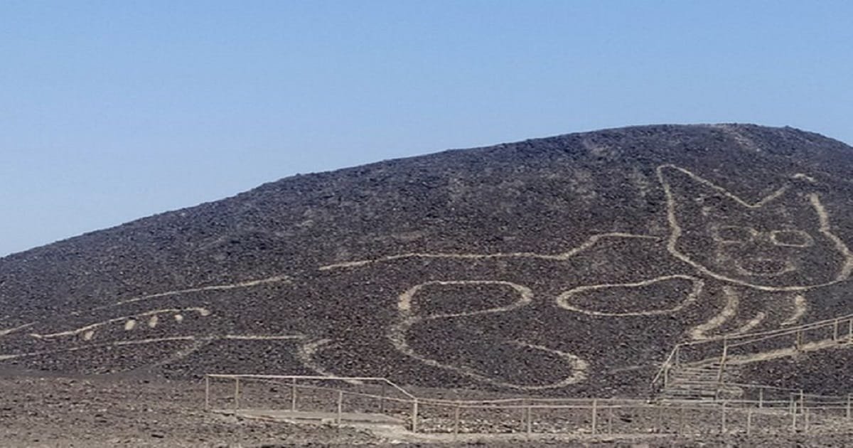 New Nazca Lines Discover an Ancient Cat