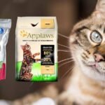 Cat Food Recalled After 130 Cat Fatalities