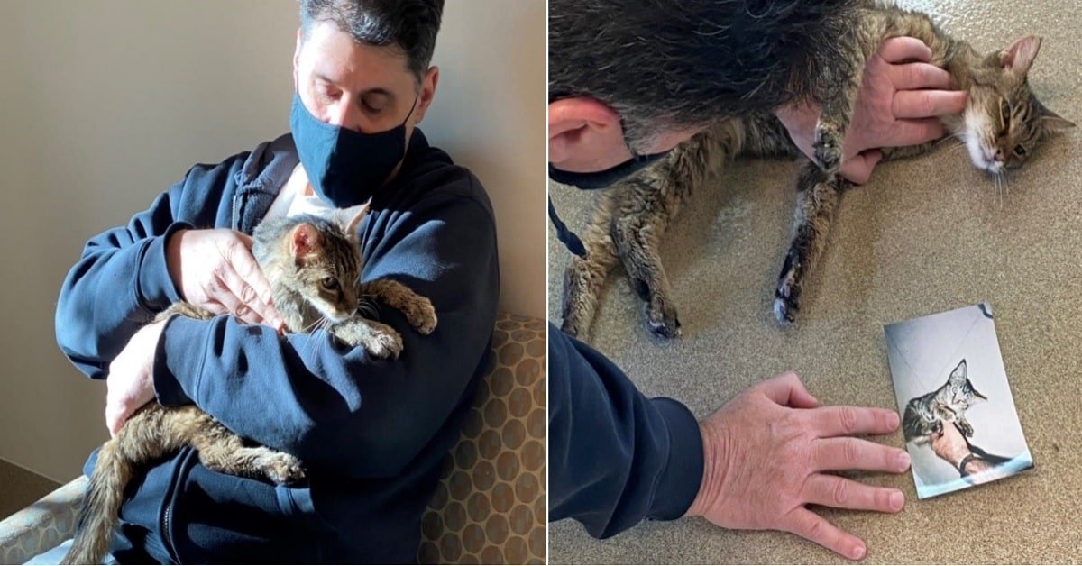 After 15 Rough Years of Separation, Owner Find His Cat Alive