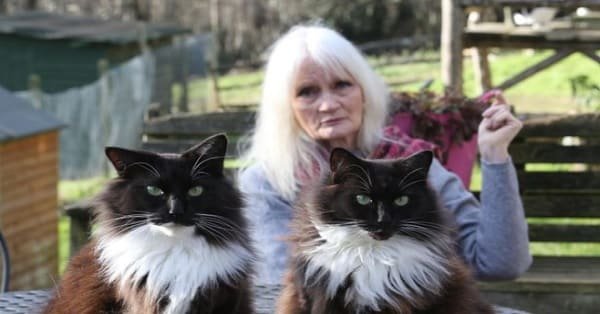 Meet Celia Hammond, an 80-Year Old Model That Dedicated Her Life to Saving Animals