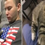 This Kitten Adopted Her Dad, Not the Other Way Around