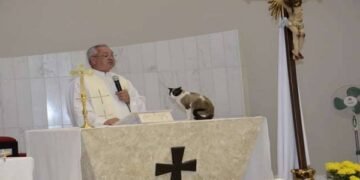 Junior the Cat Visits Church and Accept the Praise by the Worshippers