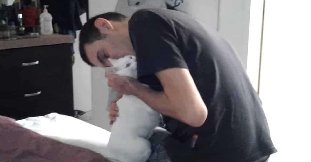 A Video of a Rejected Kitten Seeing His Adopter Will Melt Your Heart Right Away