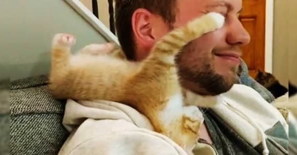 Kittens Loves His Foster Dad So Much, Cuddling and Kissing Him All Day Long