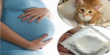 Cat Pokes Hole in Owner’s Condoms, He Gets His Wife Pregnant