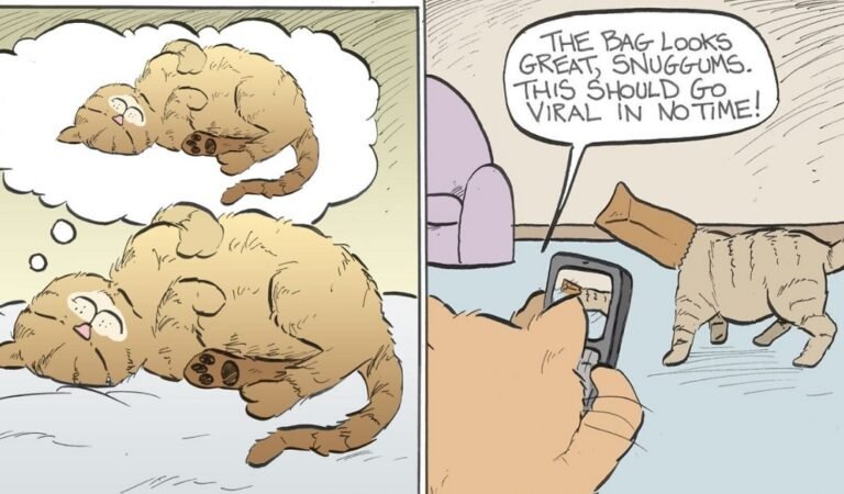 If You Own a Cat, You Will Surely Relate to One of these Cat Gag Comics Inspired by a Cat Called Tiger