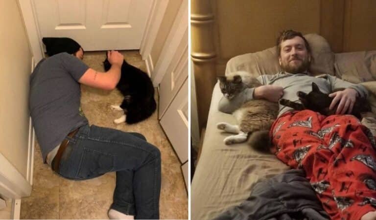 Men That Make it Clear They Don’t Want Cats, But Look at Them Now