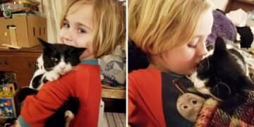 Tiny Rescue Kitten is Scared of Everything and Everyone Until She Meets One Girl