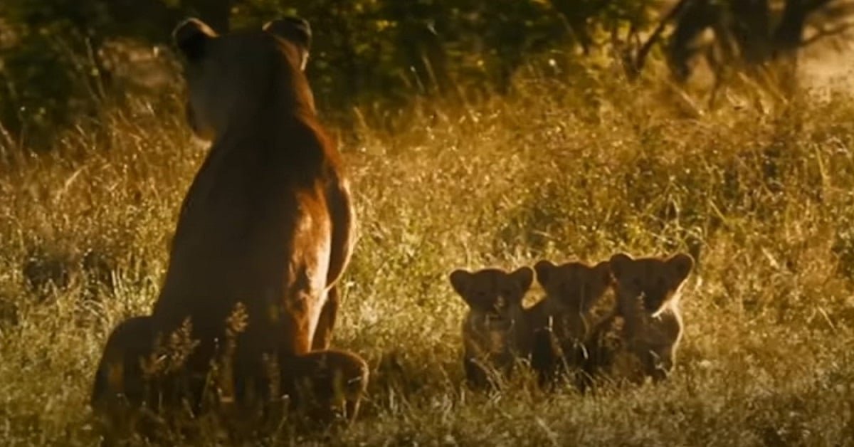 A Mother's Roar: The Lioness' Unwavering Courage in Protecting Her Cubs