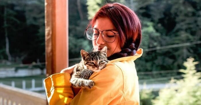 Cat Owners Prove to Be More Intelligent Than Dog Owners, According to Studies